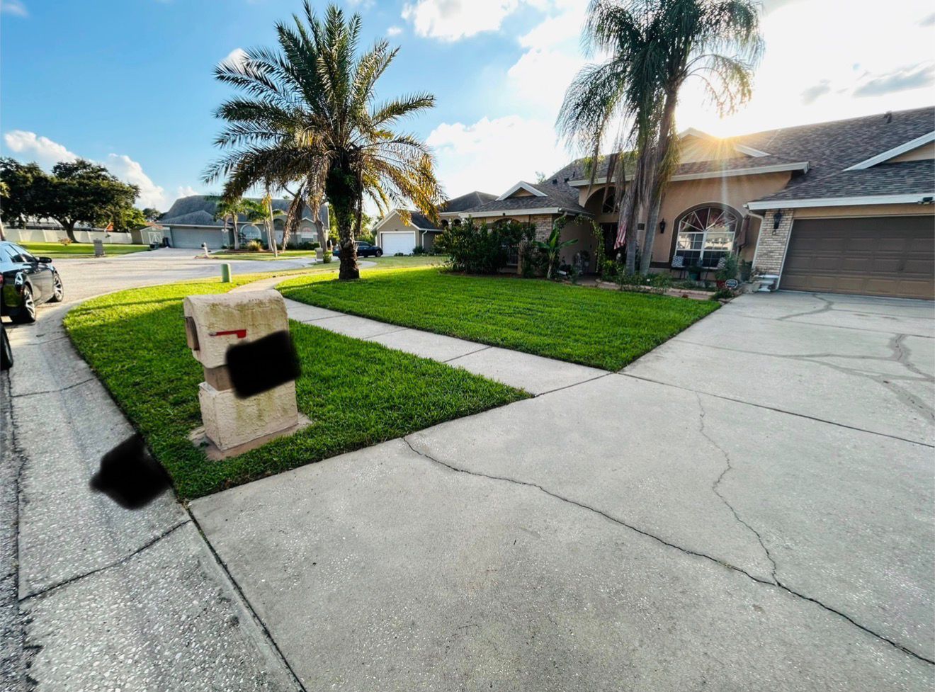 Lawn care results