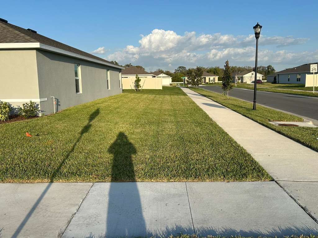 Lawn care results